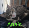 ANAIS