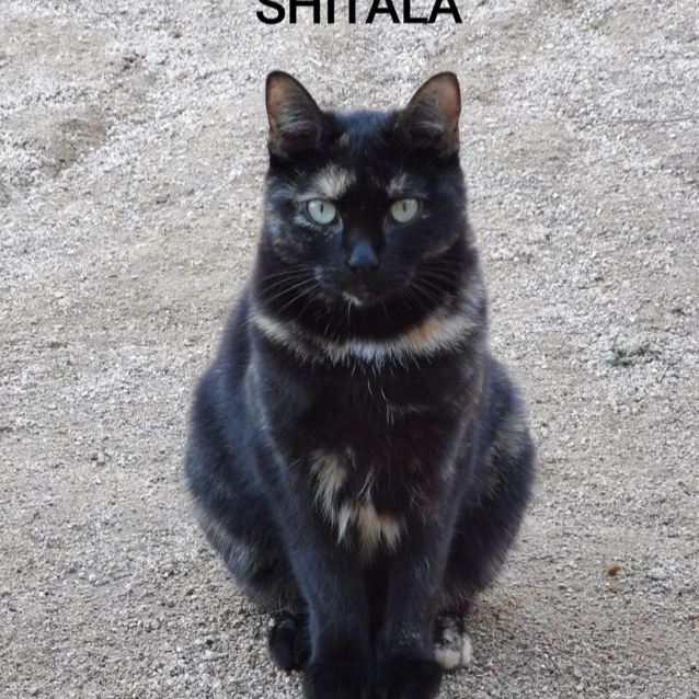 Shitala