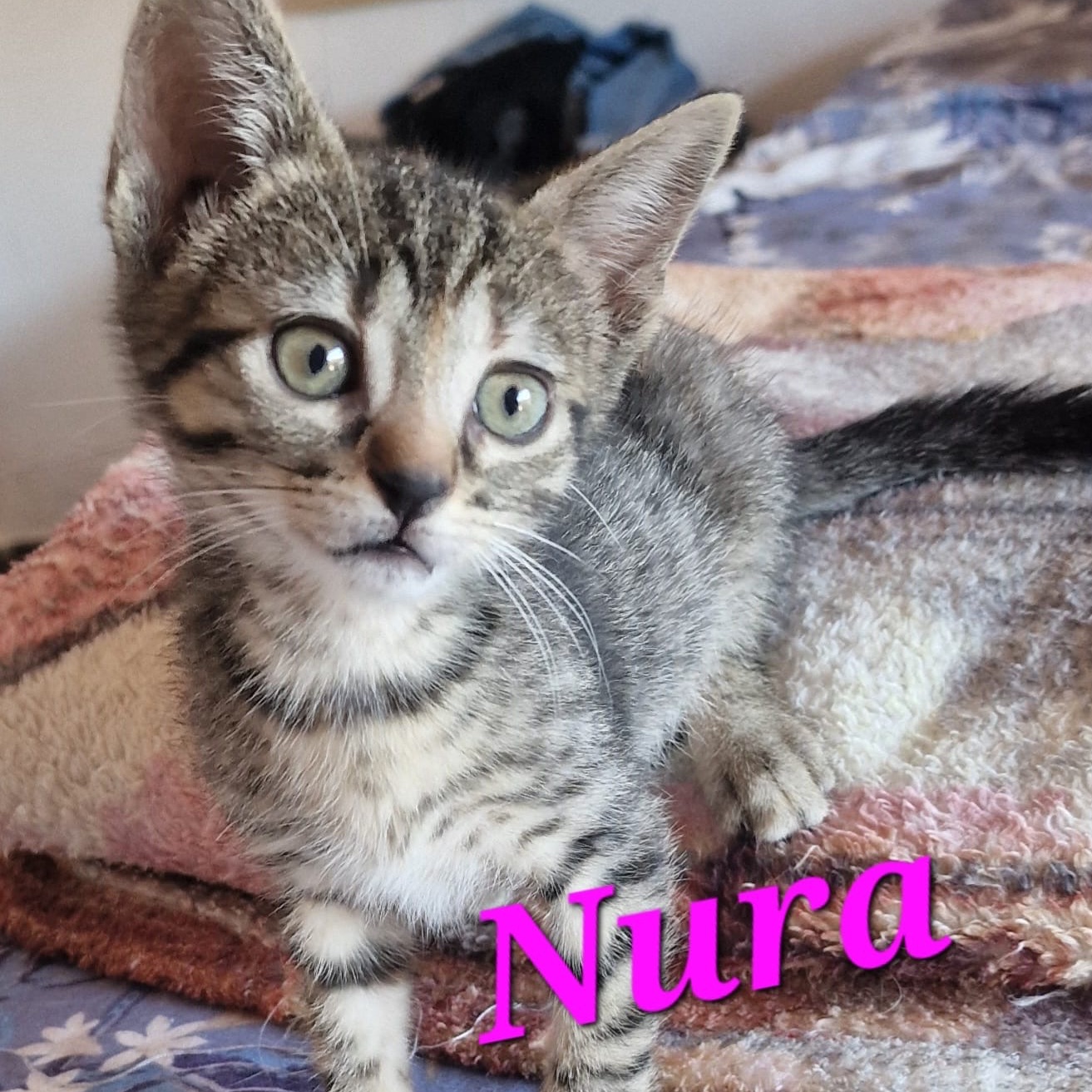 Nura