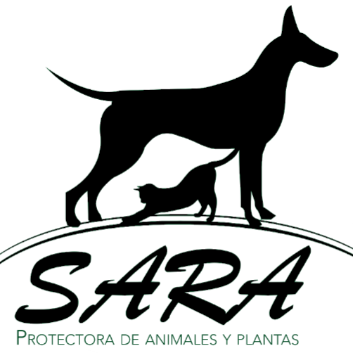SARA Protectora de animales
