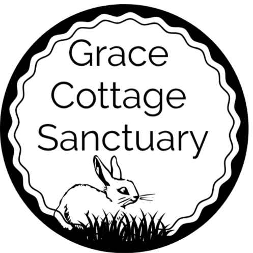 GraceCottageK@gmail.com