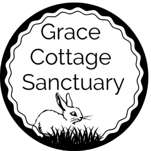 GraceCottageK@gmail.com logo