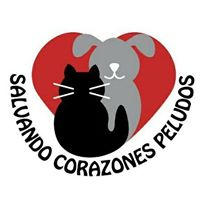 salvandocorazonespeludos@gmail.com