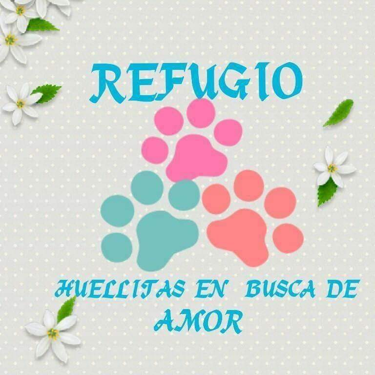 Refugio huellitas en busca de amor