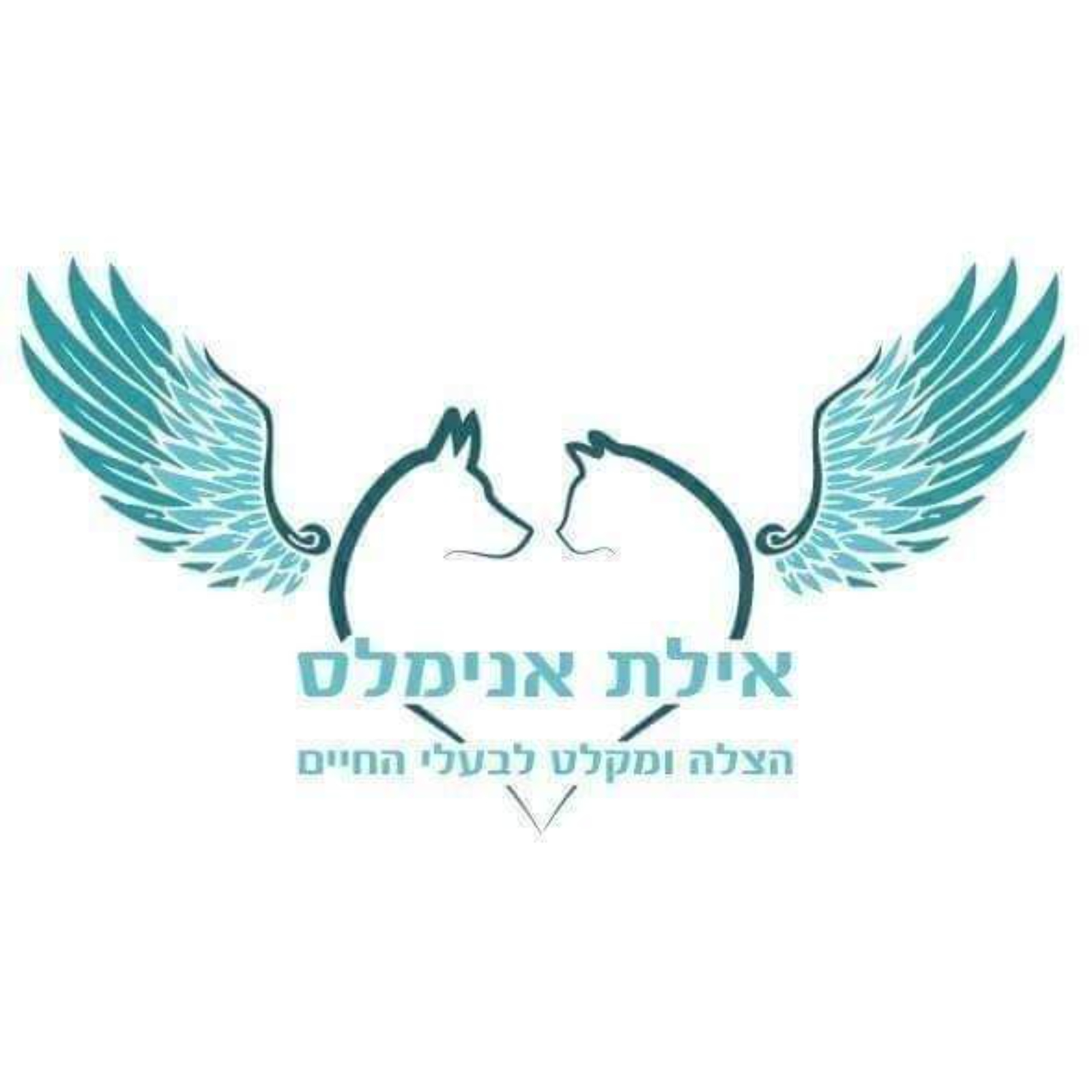 eilat.animals93@gmail.com