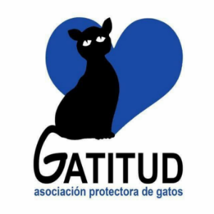 Asociación Protectora de los Gatos 